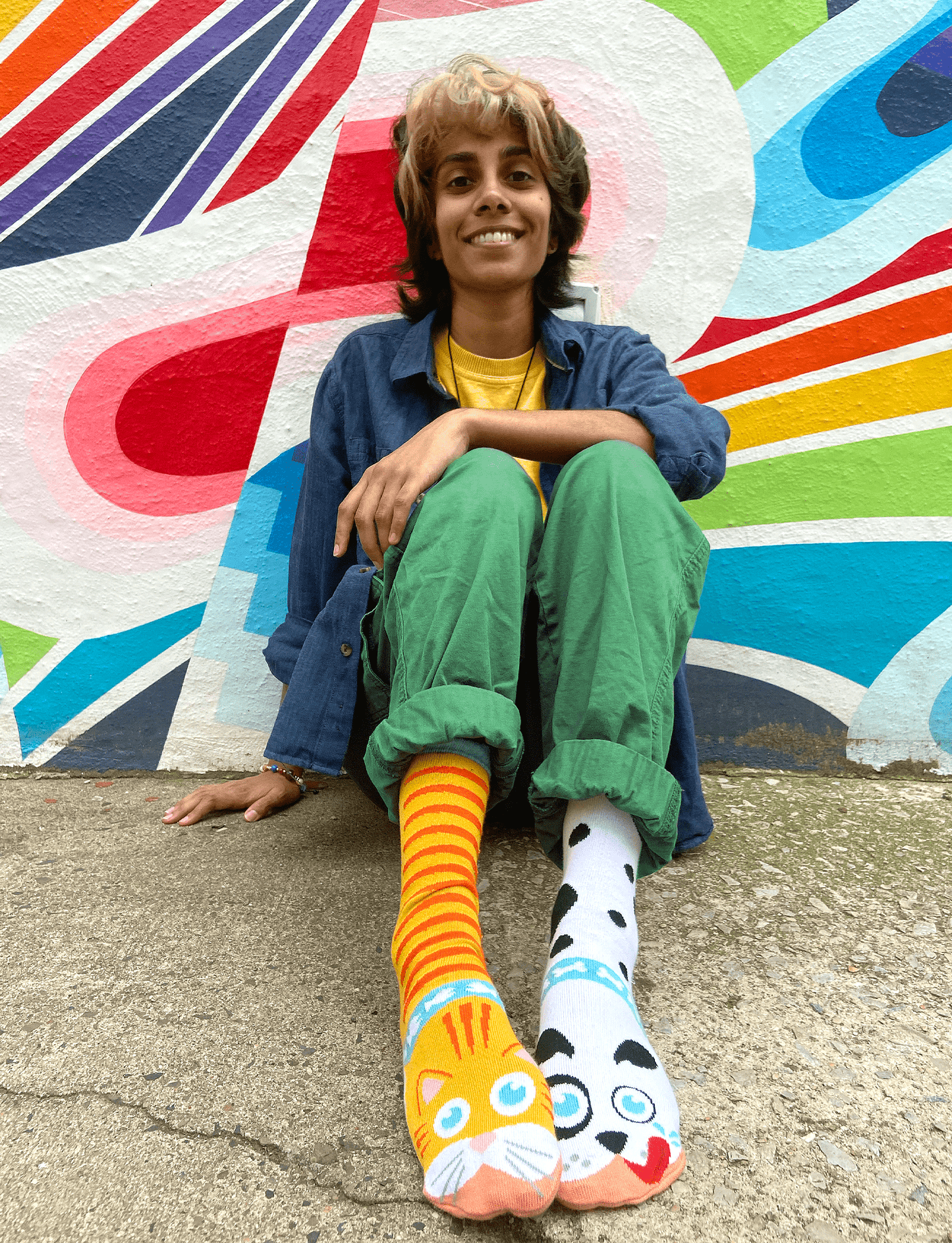ADULT CAT & DOG SOCKS - Bills Deals