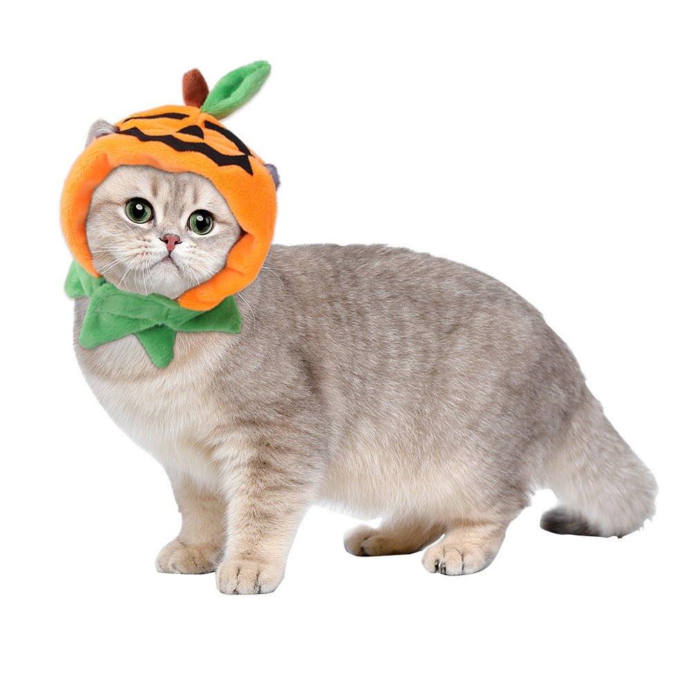Halloween Pumpkin Double - sided Dog Cloak Cat Halloween Ornaments - Bills Deals Halloween decorations