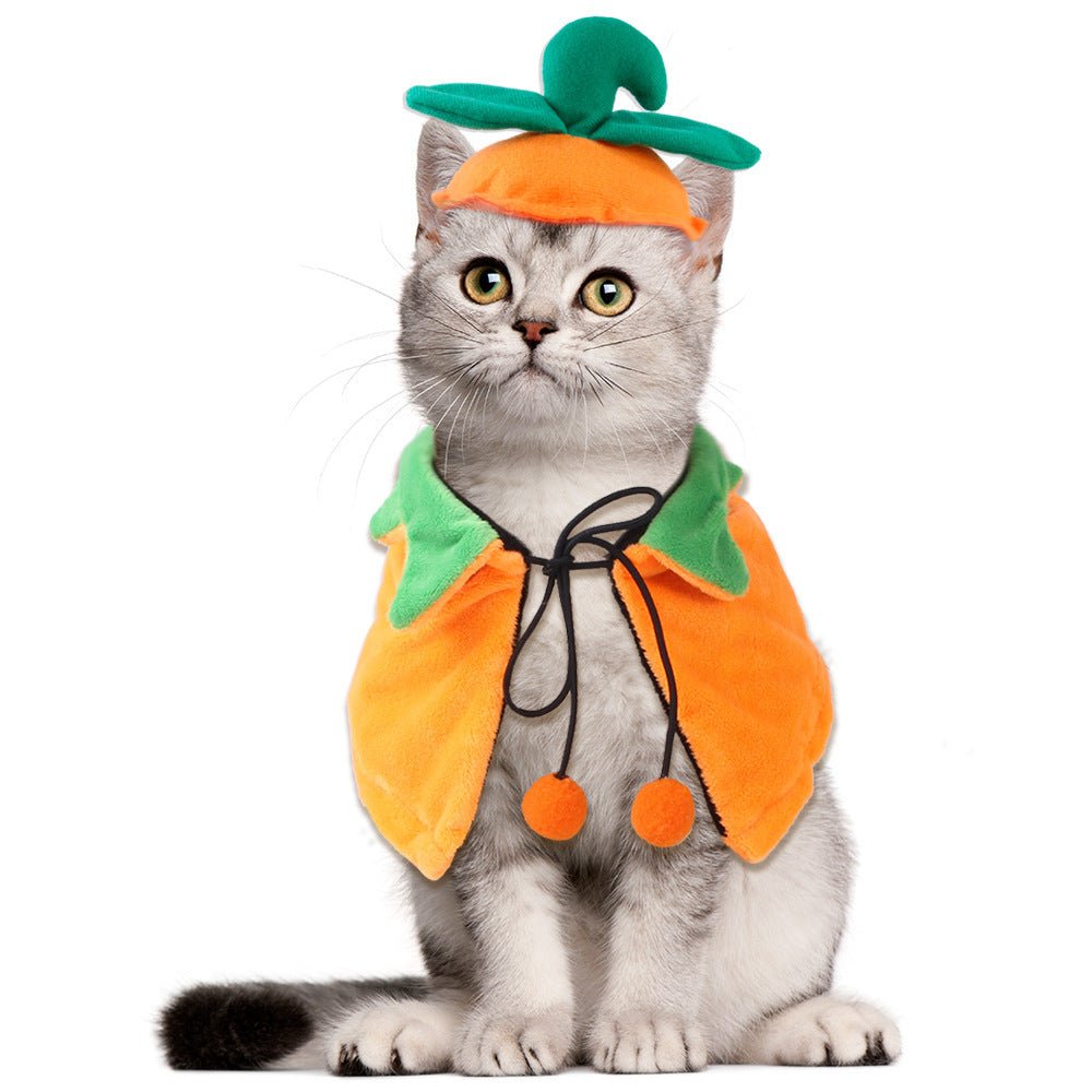 Halloween Pumpkin Double - sided Dog Cloak Cat Halloween Ornaments - Bills Deals Halloween decorations