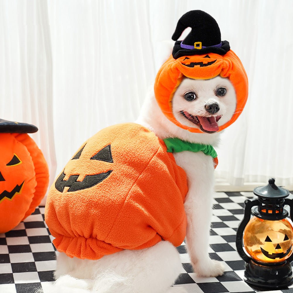 Halloween Pumpkin Pet Vest for Small AnimalsPet accessories