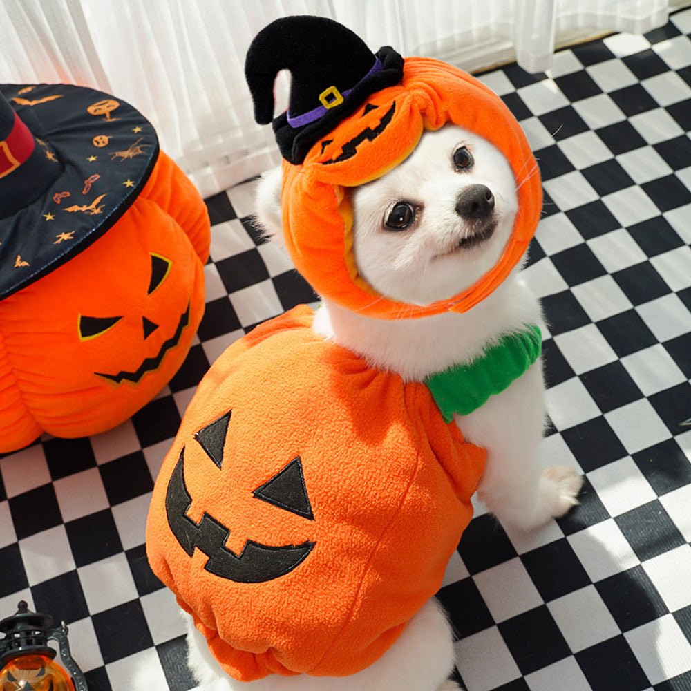 Halloween Pumpkin Pet Vest for Small AnimalsPet accessories