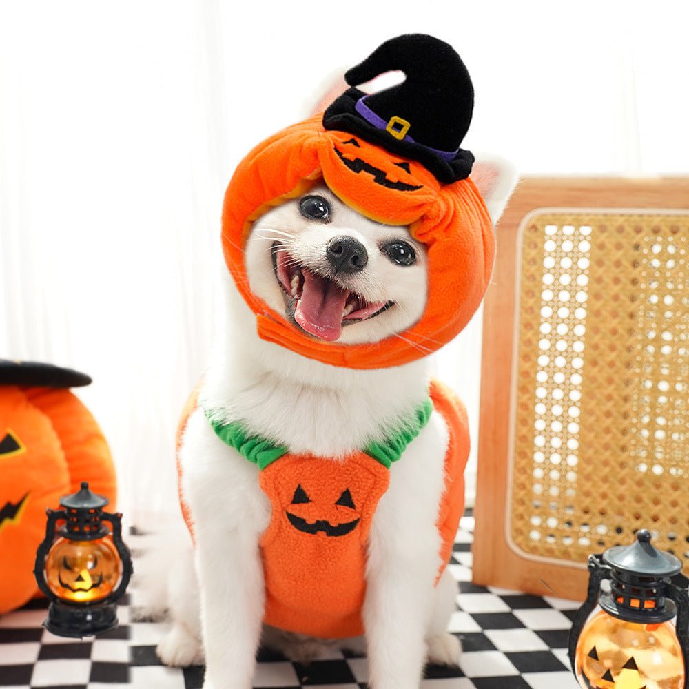 Halloween Pumpkin Pet Vest for Small AnimalsPet accessories
