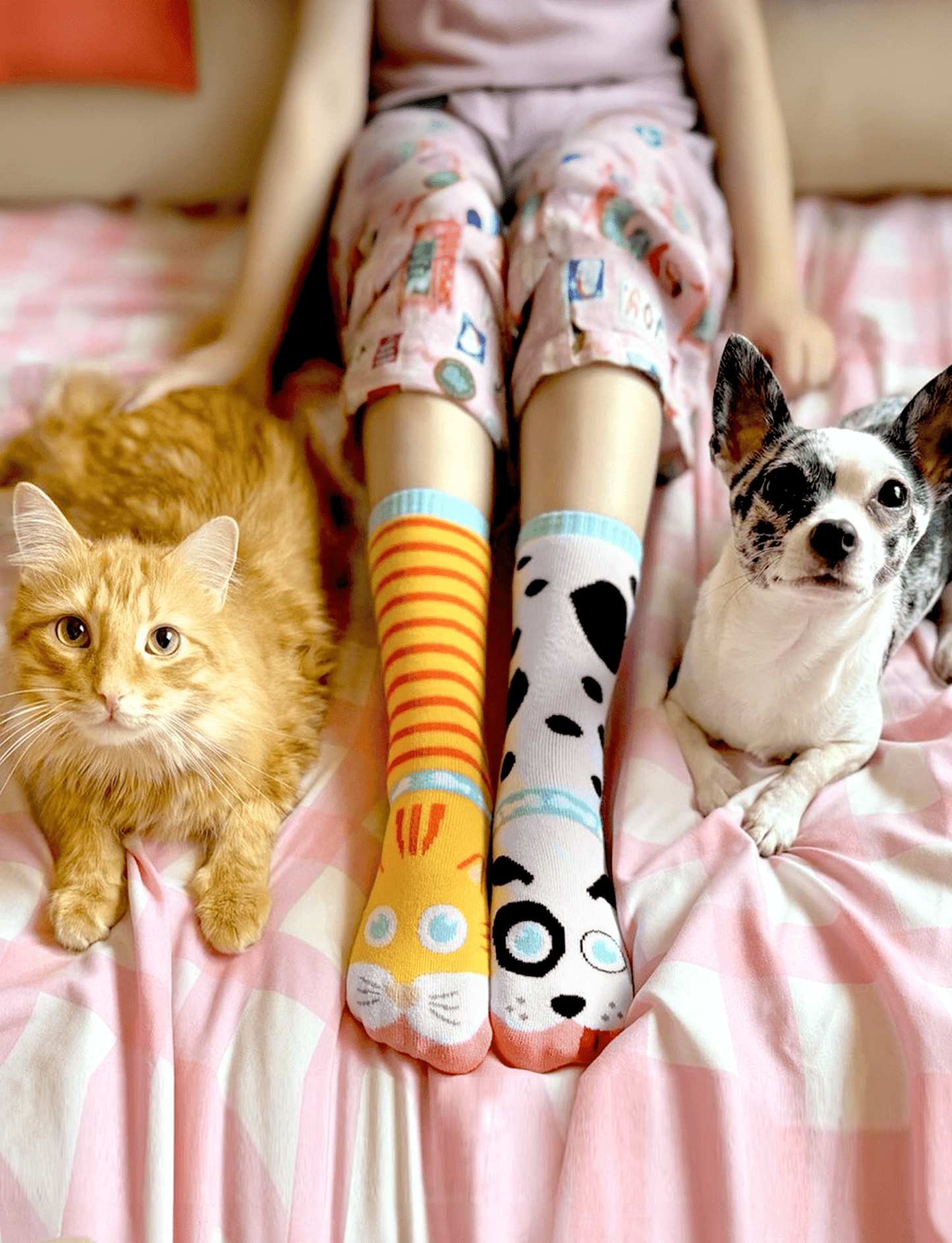 ADULT CAT & DOG SOCKS - Bills Deals