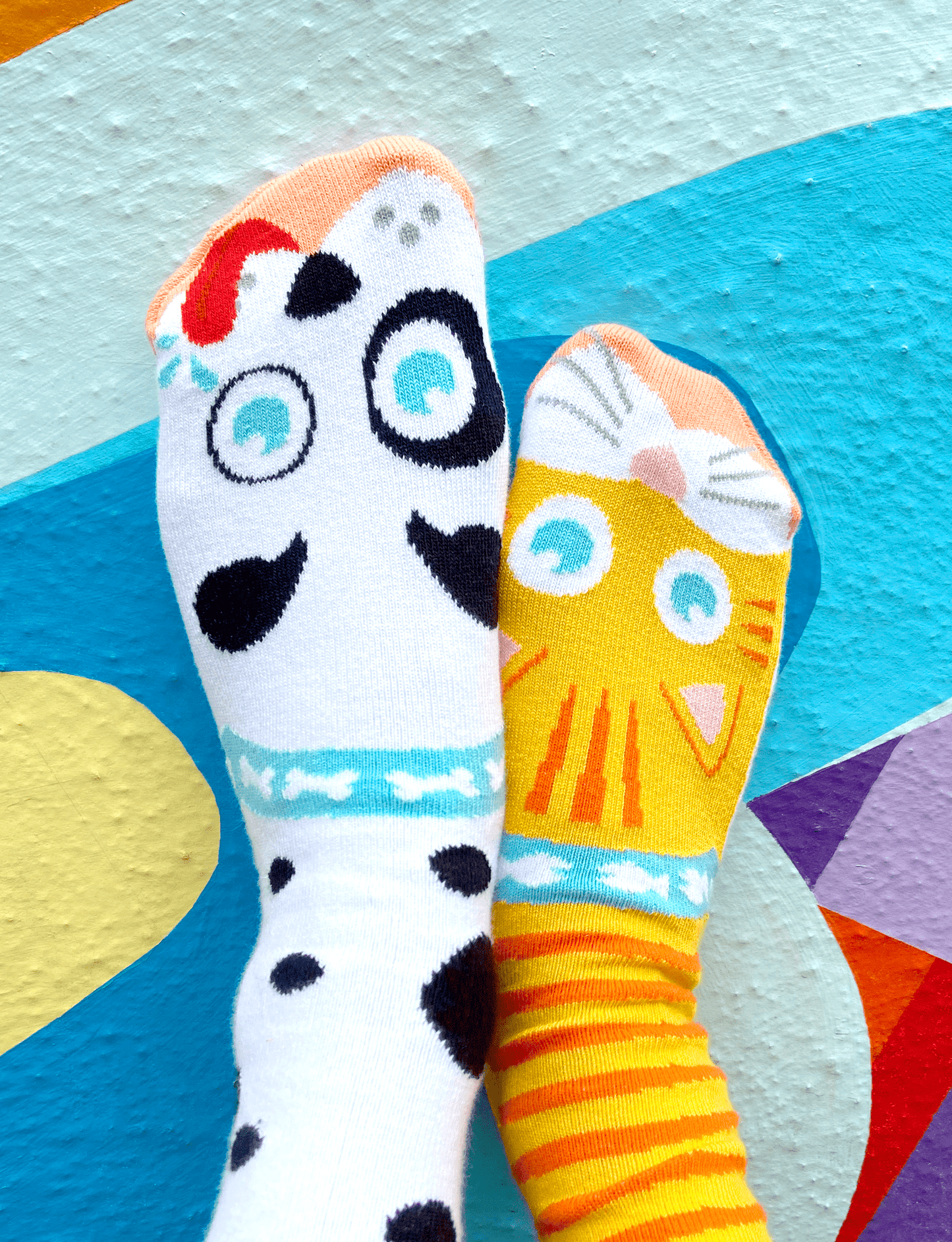ADULT CAT & DOG SOCKS - Bills Deals