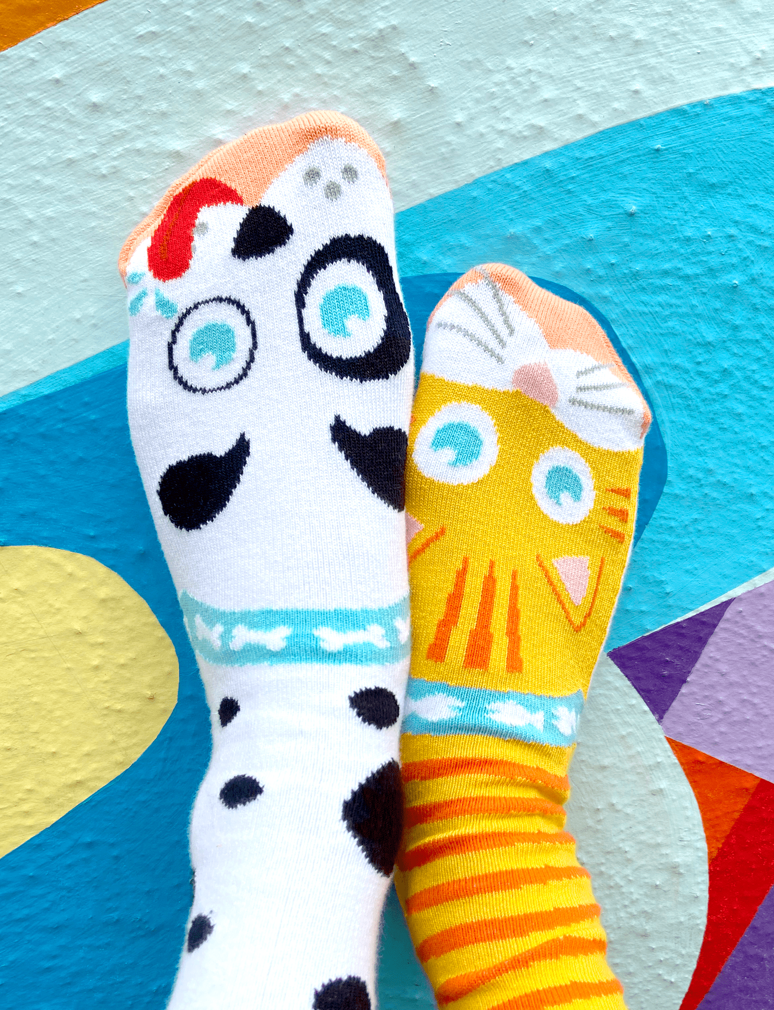 ADULT CAT & DOG SOCKS - Bills Deals