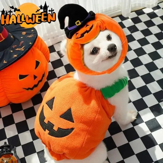 Halloween Pumpkin Pet Vest for Small AnimalsPet accessories